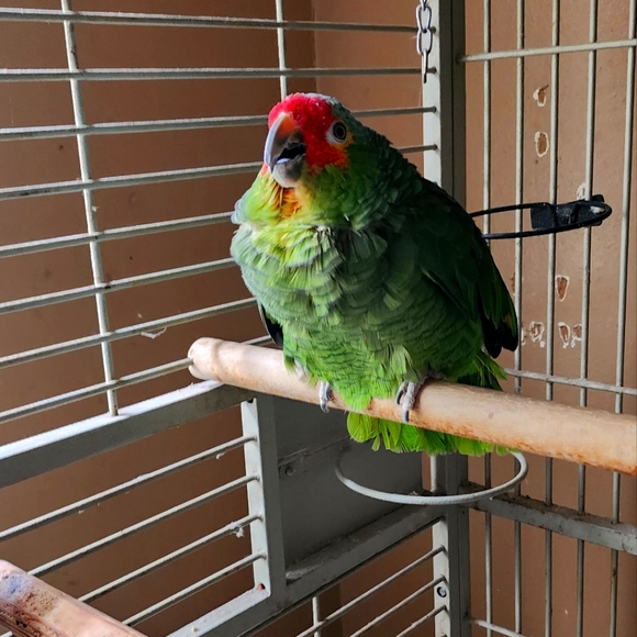 Meet your Posher, Mary - Picture 13 of 16